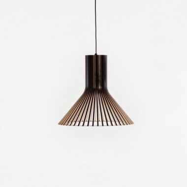 Elegant Pendant